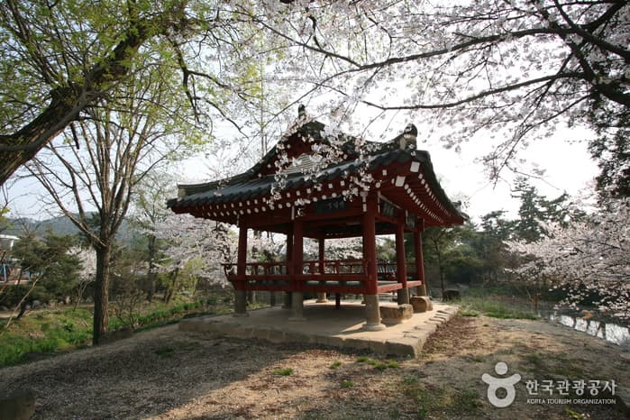 전남광주통합특별시 서구 8경 중 4경을 찾아 떠나는 여행
